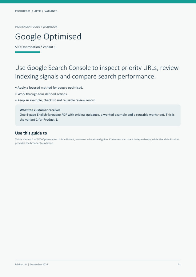 Google Optimised guide cover